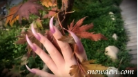 SNOW207-Leaf