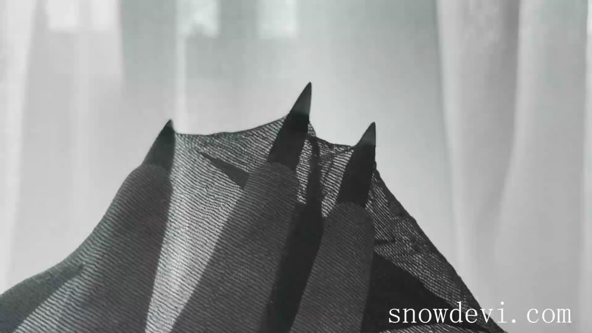 SNOW1102-Silk Stockings4