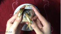 SNOW508-Fish8