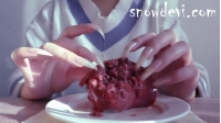 SNOW680-Chicken Liver2