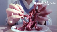 SNOW680-Chicken Liver2