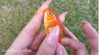 SNOW838-Fish23