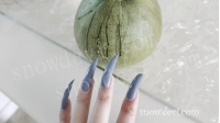 SNOW1411-Muskmelon