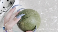SNOW1411-Muskmelon