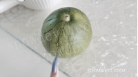 SNOW1411-Muskmelon
