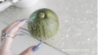SNOW1411-Muskmelon