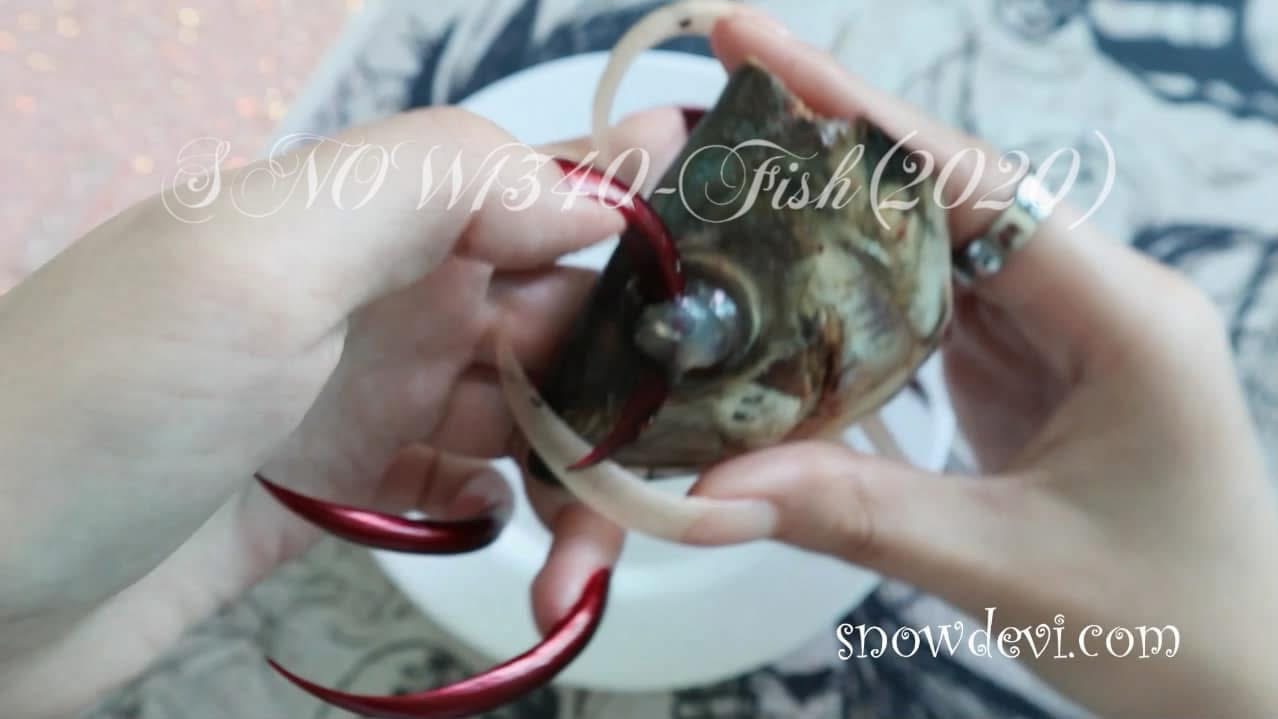 SNOW1340-Fish（2020）
