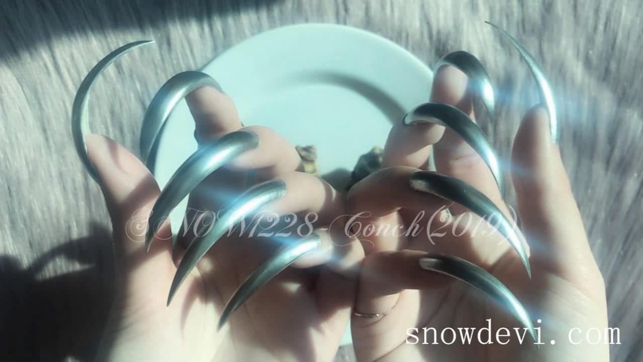 SNOW1228-Conch