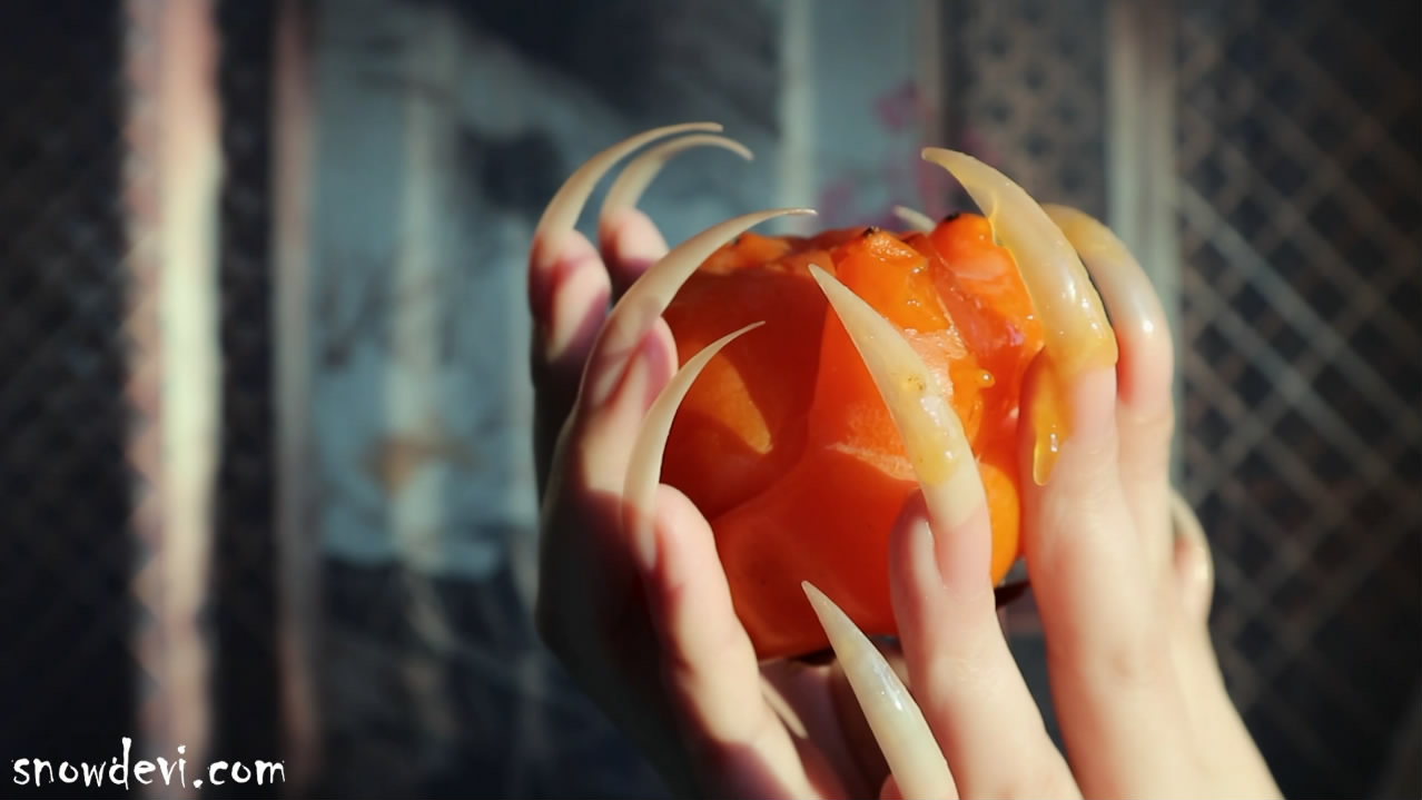 SNOW523-Persimmon4